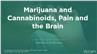 Marijuana and Cannabinoids: Effects and Potential Medicinal Uses