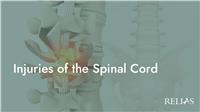 Injuries of the Spinal Cord