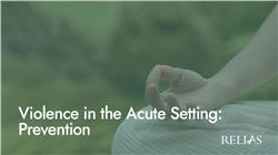 Violence in the Acute Setting: Prevention